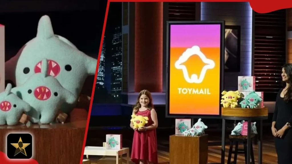 Toymail Shark Tank Networth